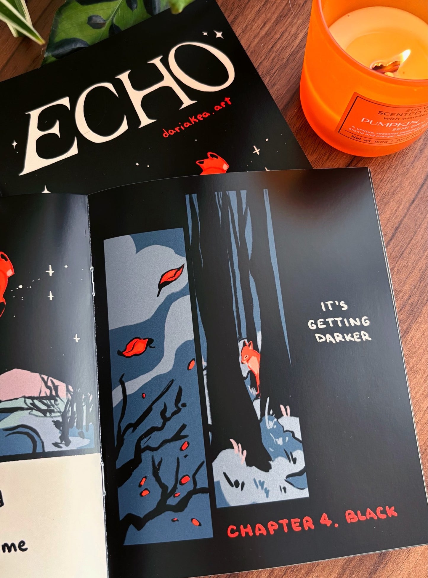 Zine "Echo"