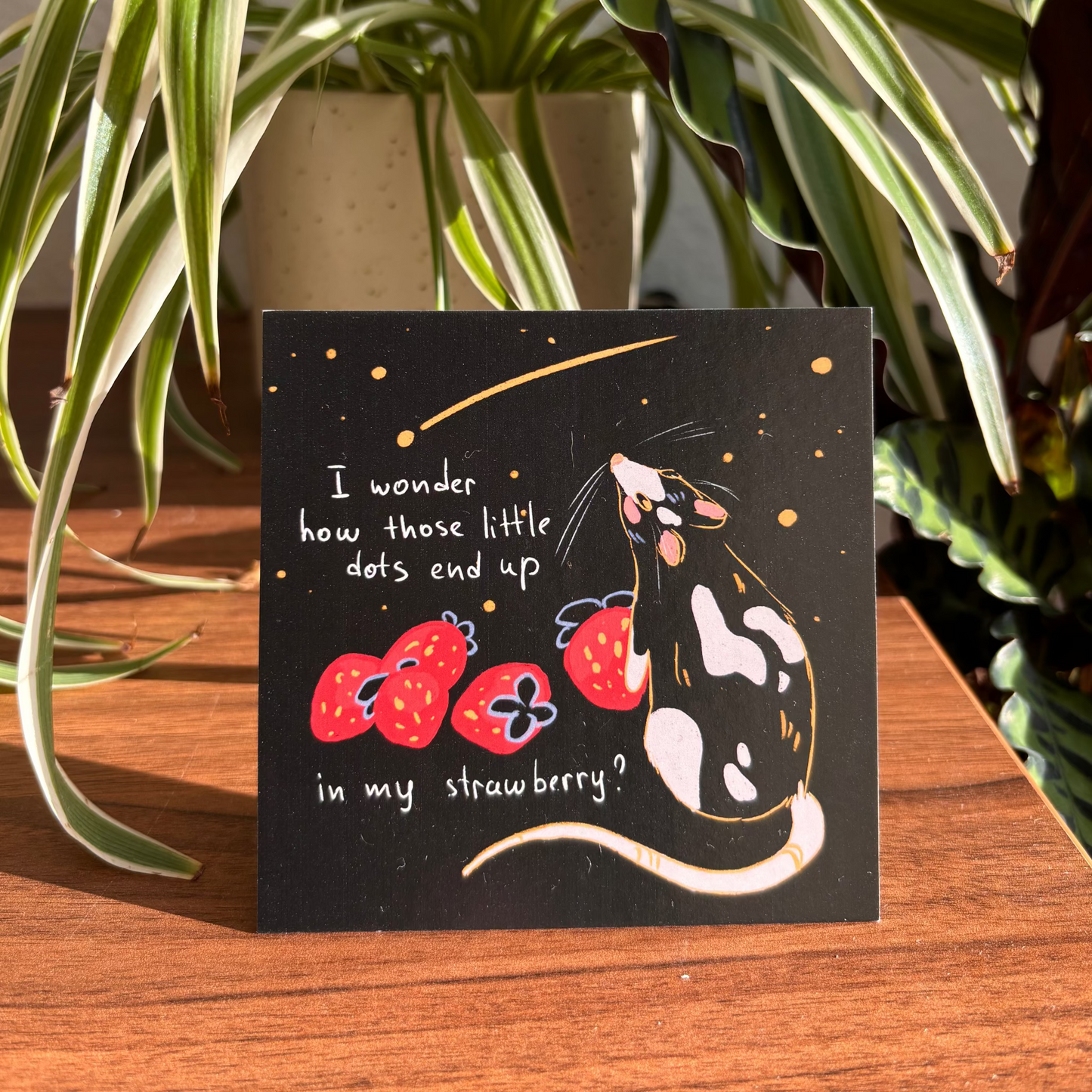Rat and Stars
