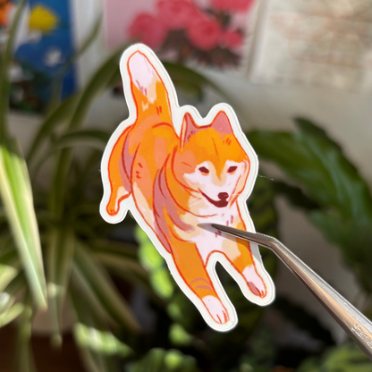 Strawberry + Shiba Inu