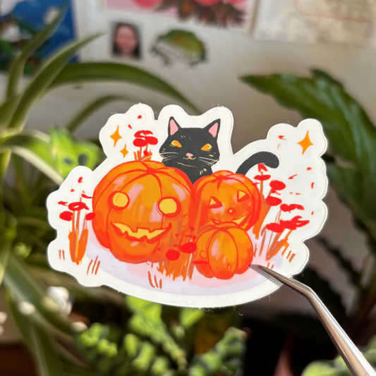 Pumpkin Cat