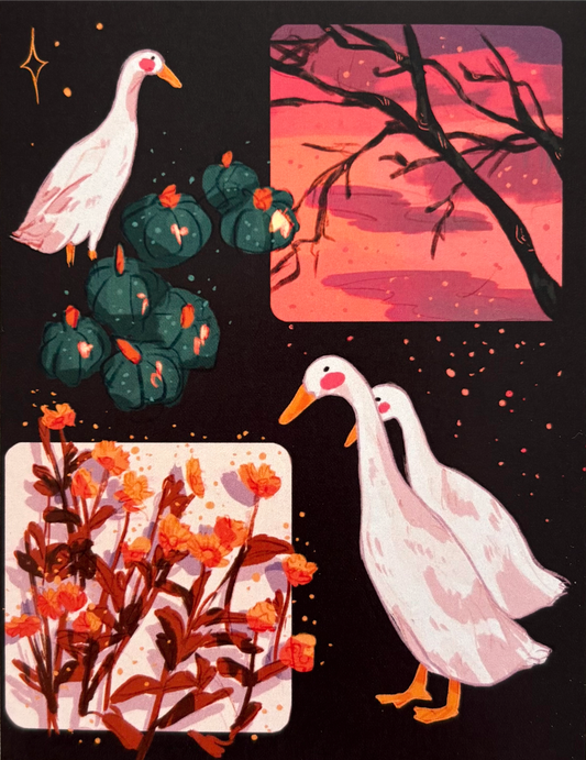 Ducks