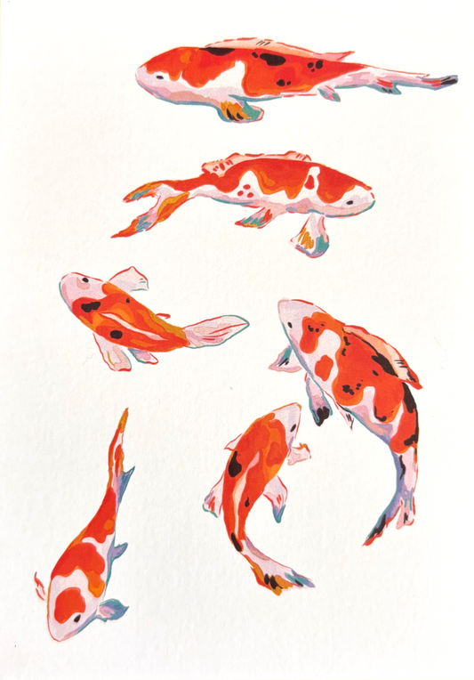 Koi Fish