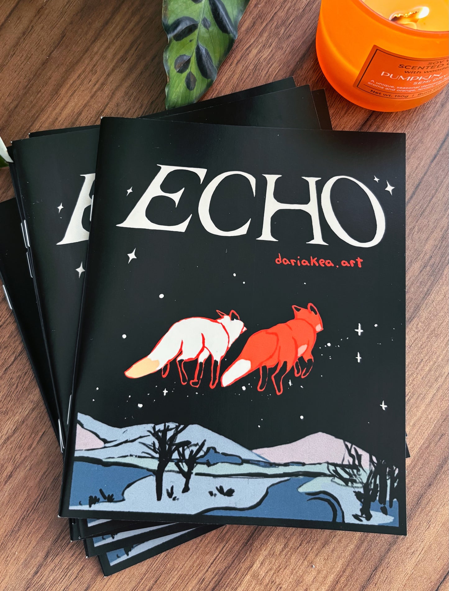 Zine "Echo"